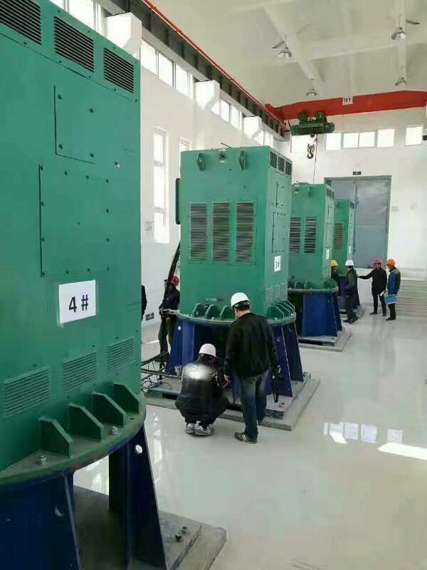 莫力达瓦某污水处理厂使用我厂的立式高压电机安装现场